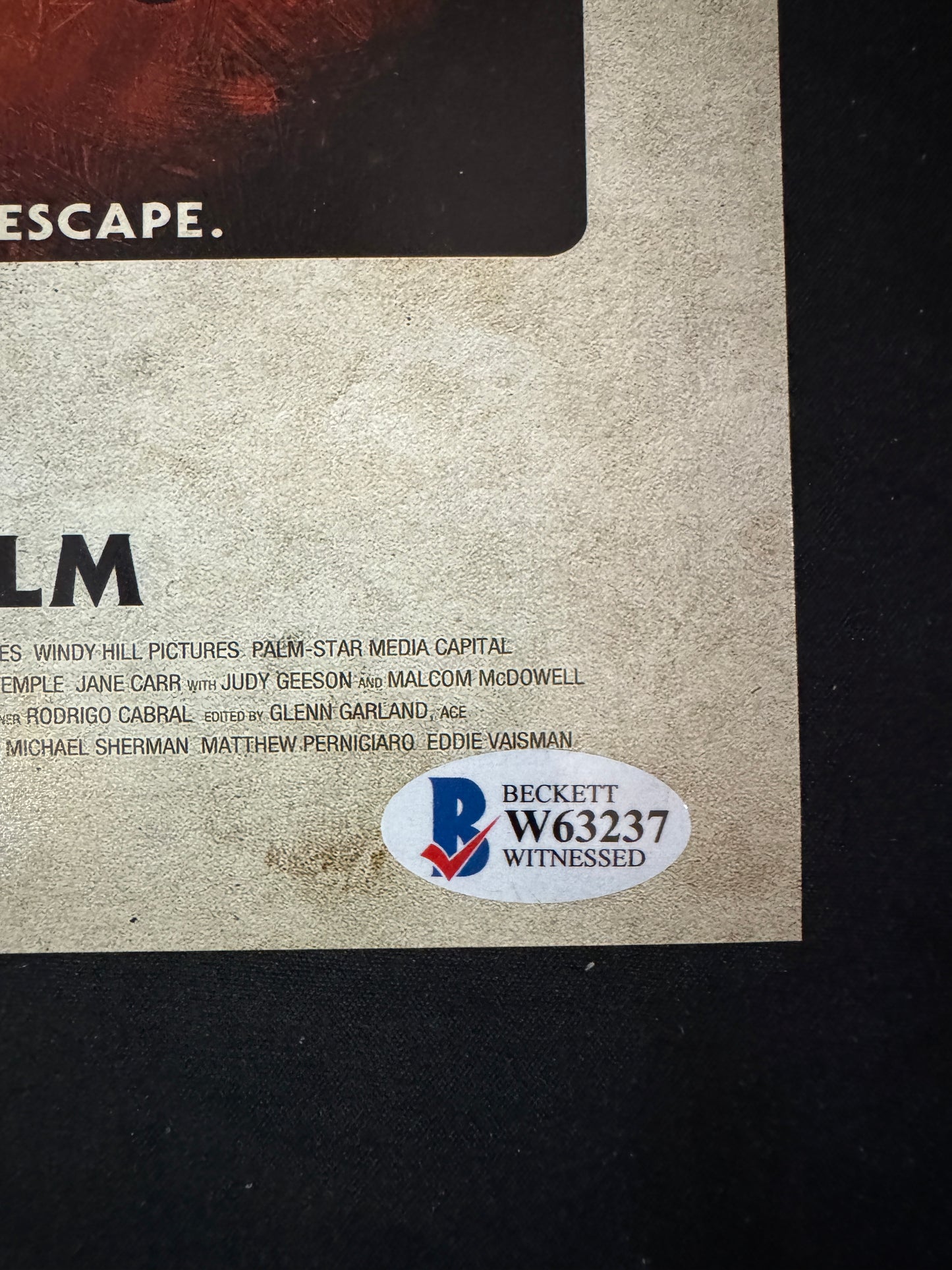 Lew Temple signed Rob Zombie's 31 8x10 photo W/ Beckett Witnessed COA