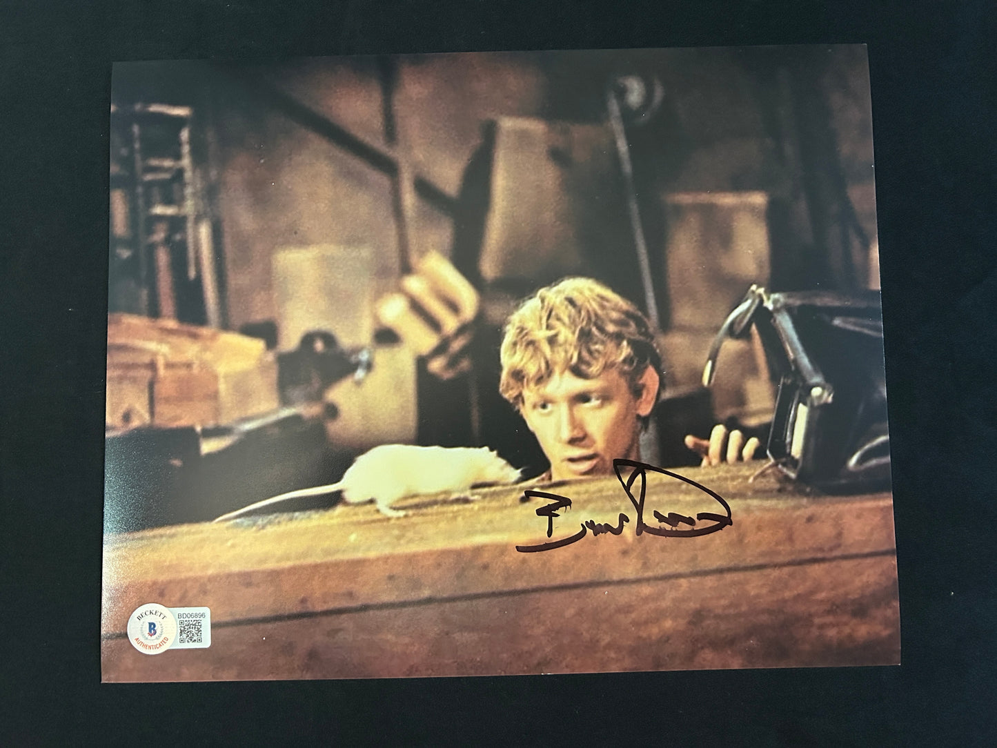 Bruce Davison signed Willard 8x10 photo W/ Beckett COA